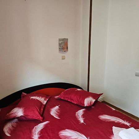 Villa Foisor Buşteni Zewnętrze zdjęcie