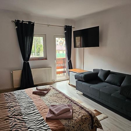 Villa Foisor Buşteni Zewnętrze zdjęcie