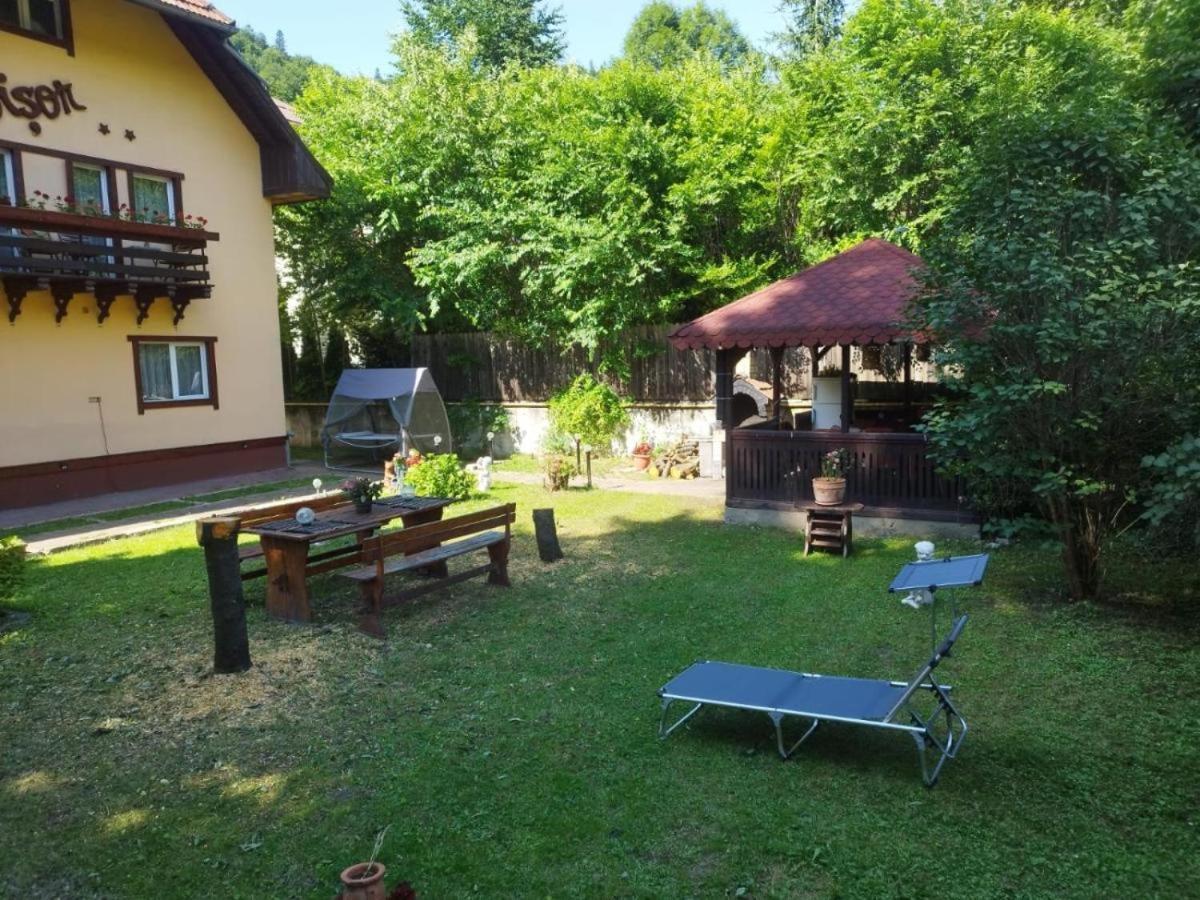 Villa Foisor Buşteni Zewnętrze zdjęcie