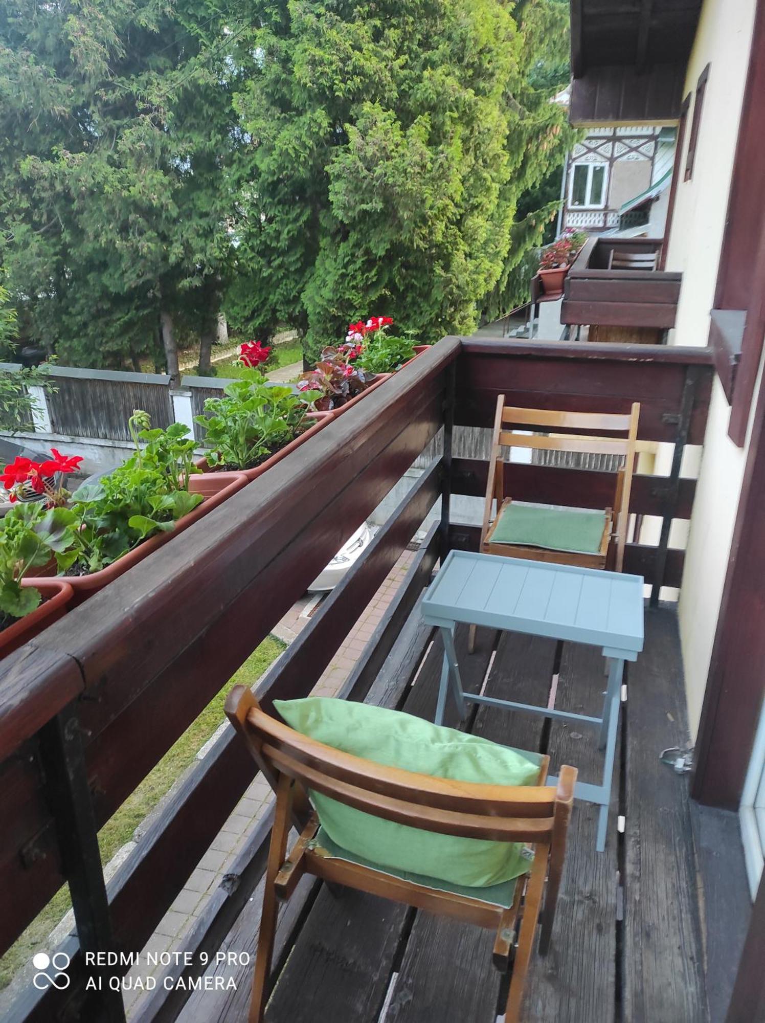 Villa Foisor Buşteni Zewnętrze zdjęcie